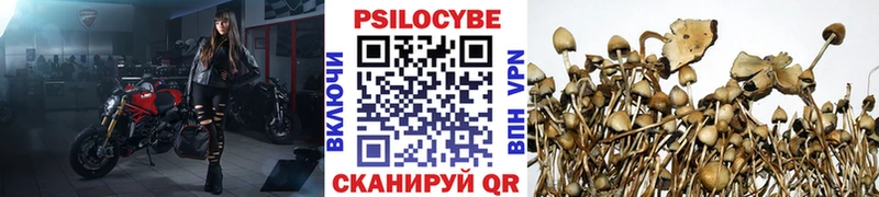 Галлюциногенные грибы мухоморы  mega ссылки  Людиново 